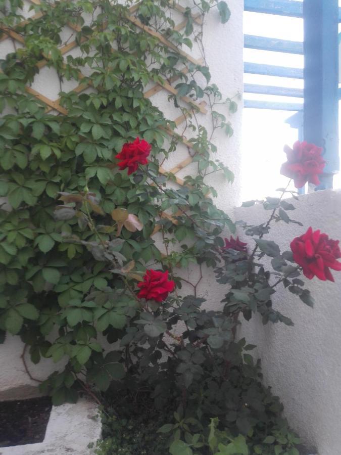 Rania Studios Poros Town Exterior foto